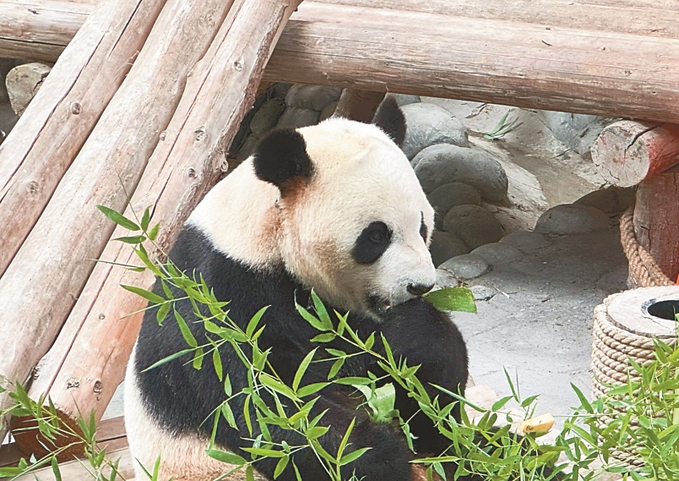 6d-3ddb49f1a27c.jpg
